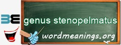 WordMeaning blackboard for genus stenopelmatus